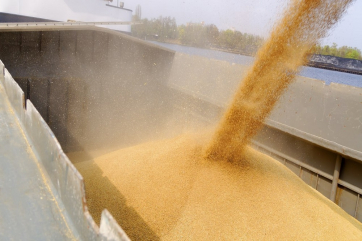Российские эксперты объяснили вывоз ЕС зерна из Украины